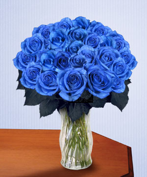 Jual Mawar Biru Cantik Jakarta Bungaucapan Com